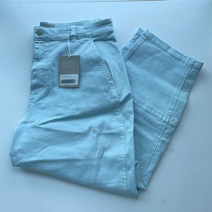 Everlane Barrel Pants Sky Blue Size 14
